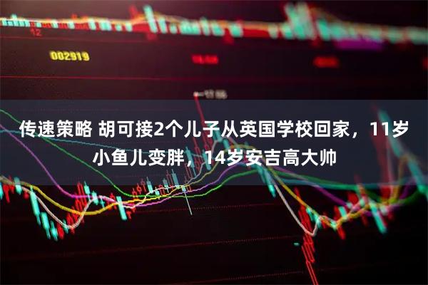 传速策略 胡可接2个儿子从英国学校回家，11岁小鱼儿变胖，14岁安吉高大帅