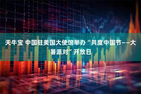天牛宝 中国驻美国大使馆举办“共度中国节——大暑派对”开放日